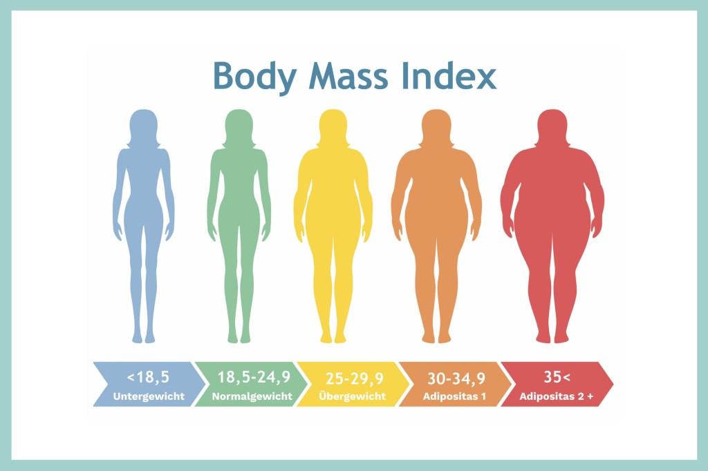 Infografik mit fünf farbigen Silhouetten, die unterschiedliche BMI-Kategorien von Untergewicht bis Adipositas repräsentieren.