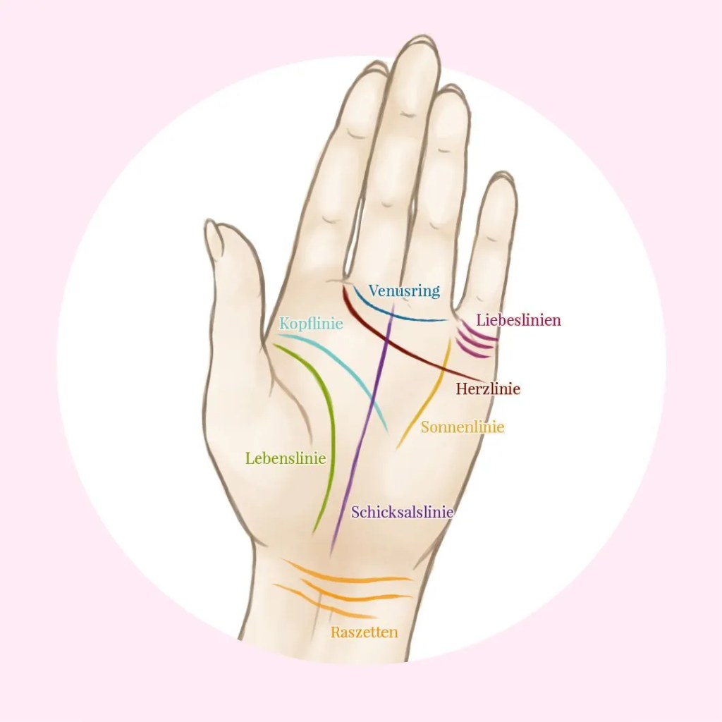 Handlinien Darstellung