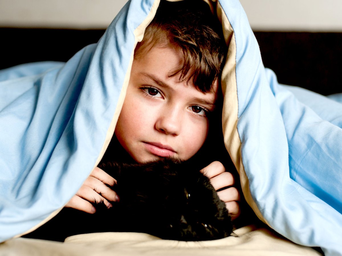 Junge, ca. 10 Jahre, schmust mit einer schwarzen Katze unter der Decke seines Betts und schaut traurig in die Kamera.
