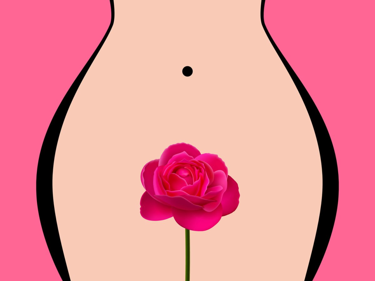 Zeichnung einer Frau mit einer Rose vor ihrer Intimzone