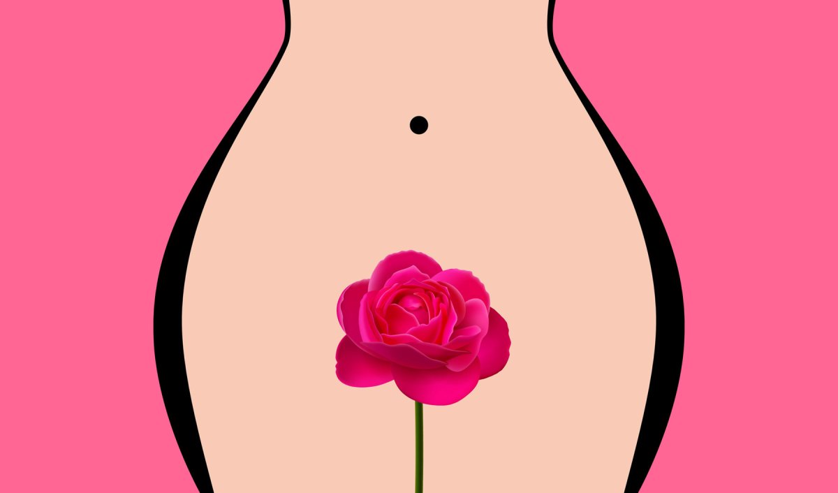 Zeichnung einer Frau mit einer Rose vor ihrer Intimzone