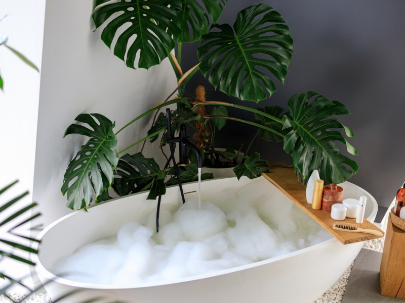 Eine große Monsterra Zimmerpflanze steht hinter einer Badewanne.