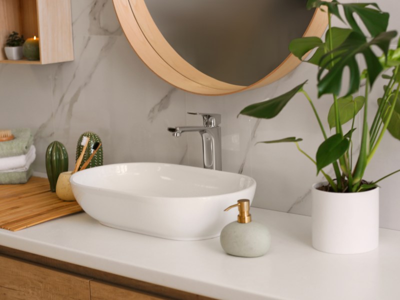 Foto von einem modernen Badezimmer mit einer Pflanze und schöner Deko auf dem Waschbecken