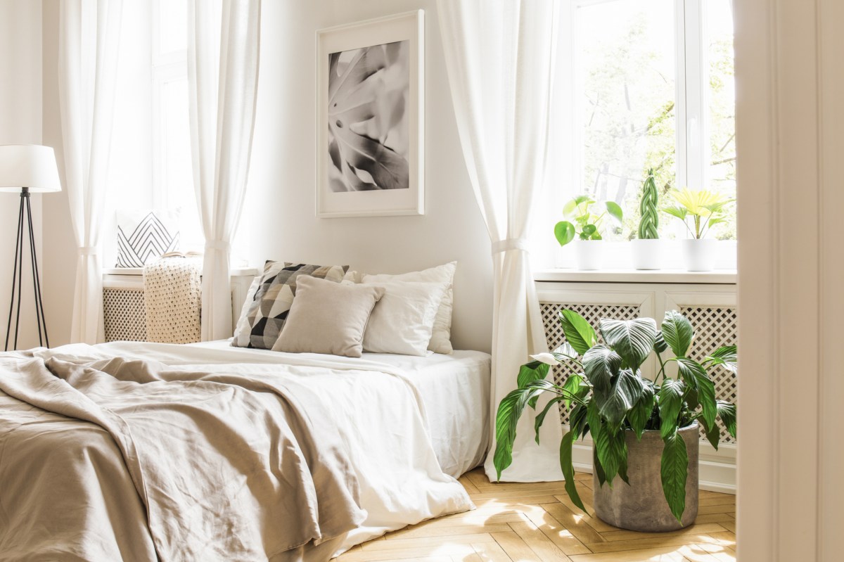 Ein helles, modernes Schlafzimmer mit Zimmerpflanzen
