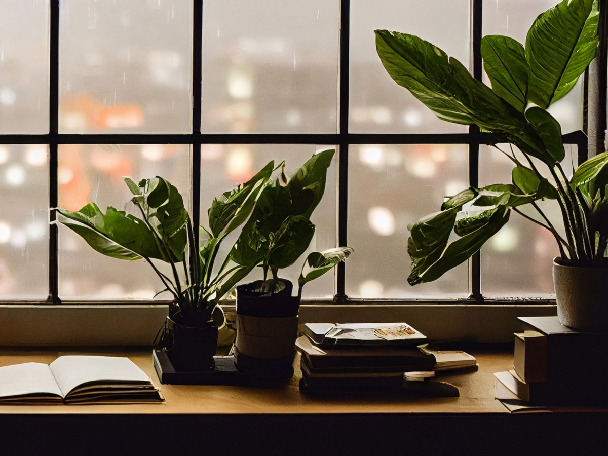 Pflanzen stehen auf Fensterbank von Büro, draußen regnet es.