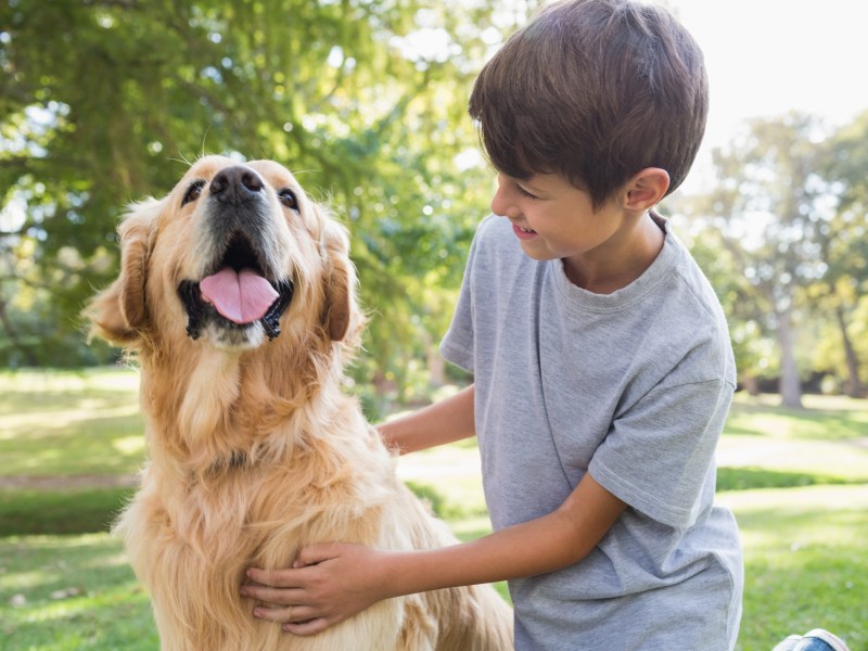 Tiere sind Lebewesen. Deshalb sollten schon kleine Kinder wissen, wie sie ihnen richtig begegnen.
