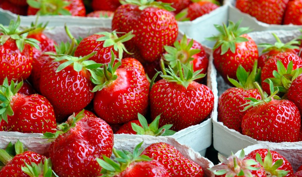 Erdbeeren: Ekel-Video zeigt, was sich auf Supermarkt-Erdbeeren alles versteckt