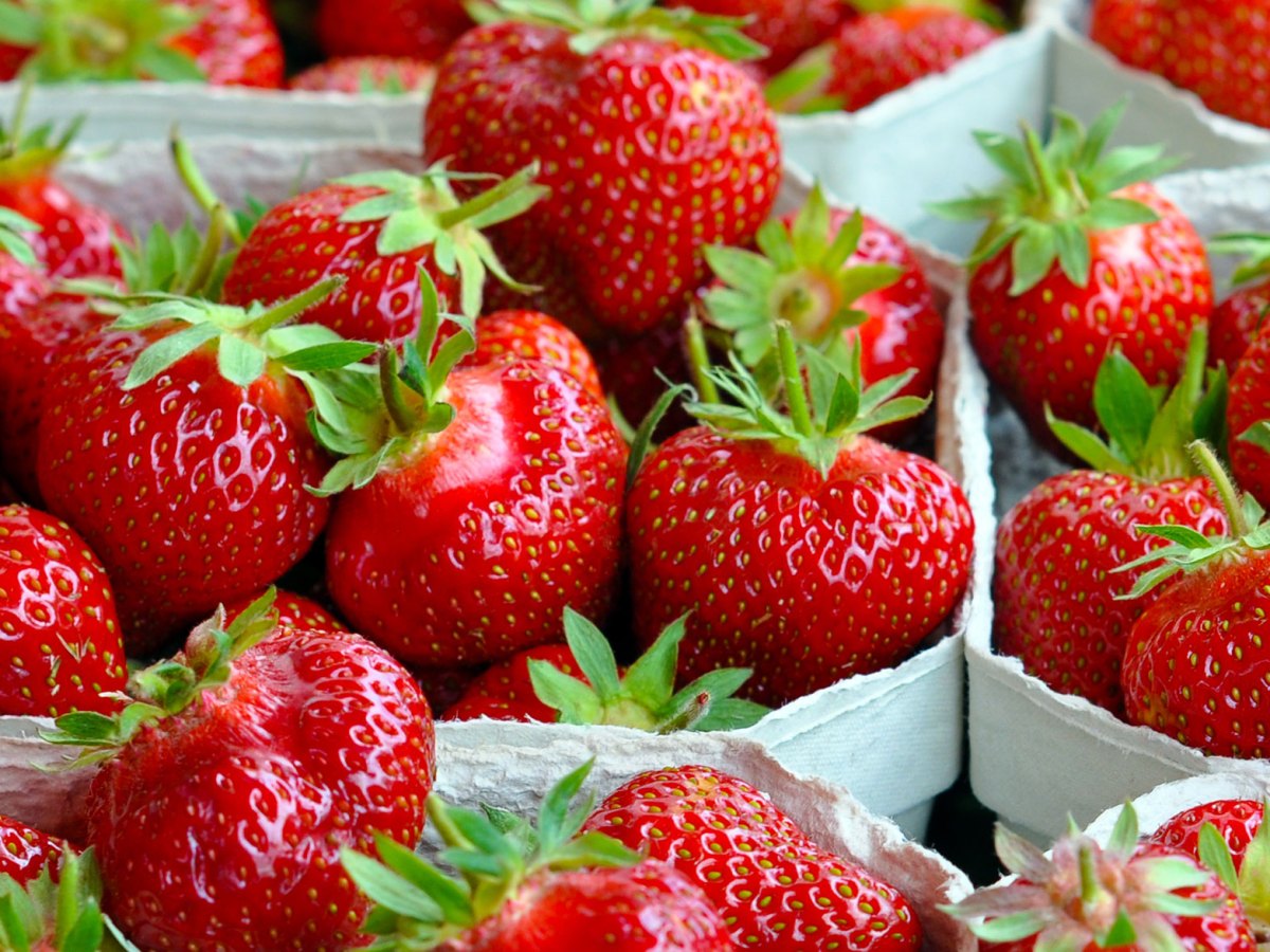 Schalen mit frisch aussehenden Erdbeeren