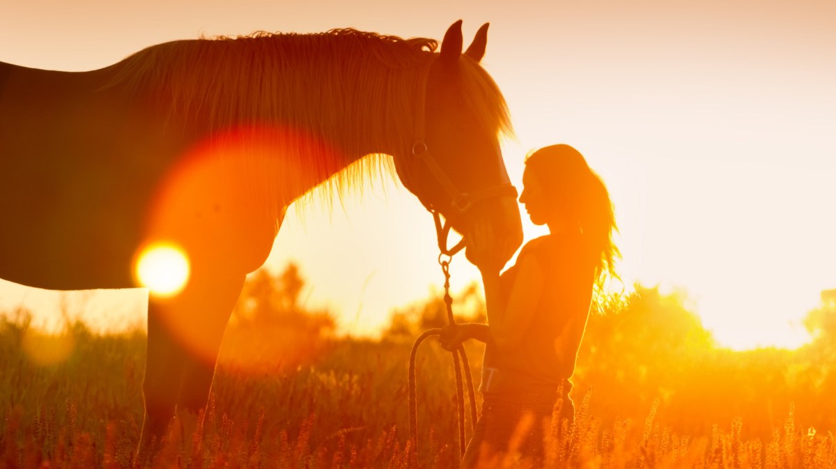 Frau mit Pferd vor Sonnenuntergang