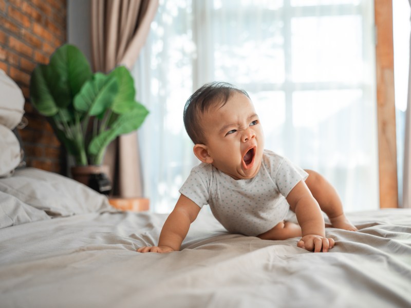 Babys brauchen viel Schlaf. Trotzdem schlafen viele von ihnen schlecht. Wir wissen, wie Eltern ihrem Kind helfen können.