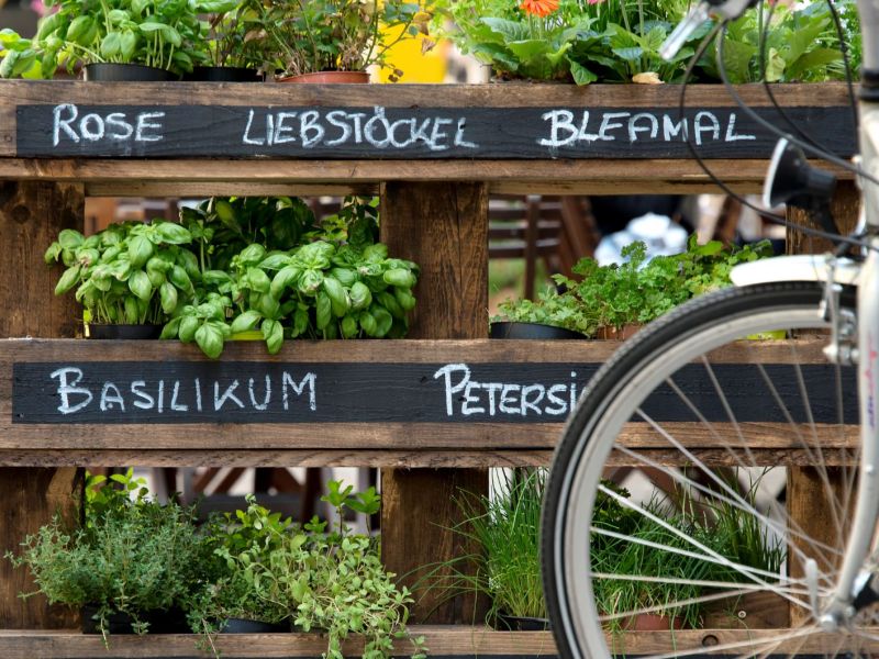 Kräuter in Töpfen angepflanzt auf einer Palette. Im Vordergrund ein Fahrradreifen.