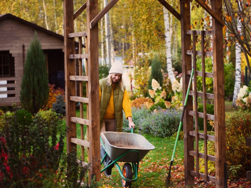 Frau mit Schubkarre im Garten im Herbst.