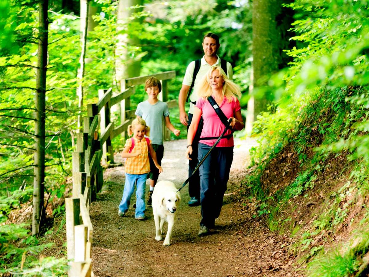 Mutter, Vater, zwei Kinder und Hund wandern durch den Wald.