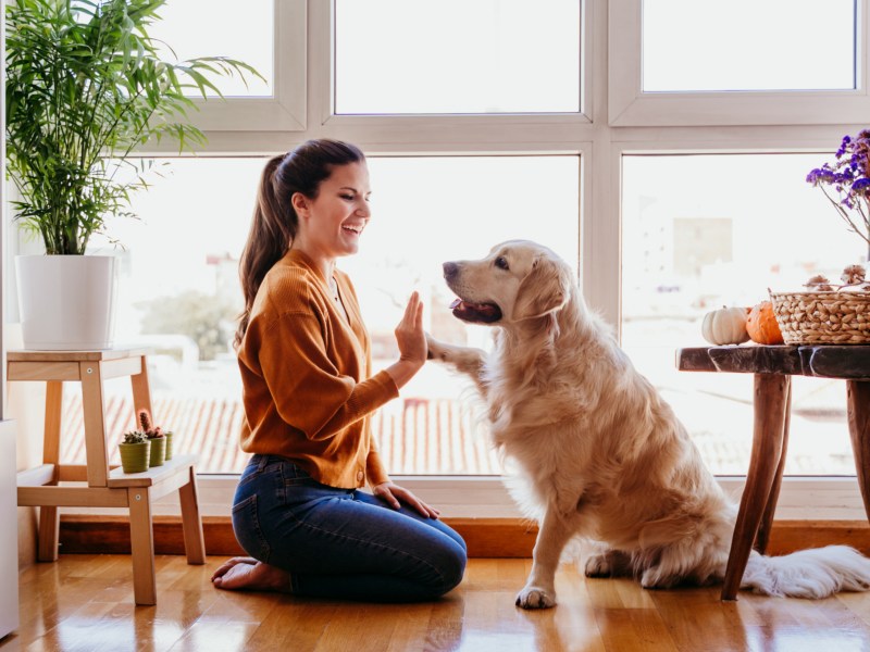 Frau die lächelt und mit ihrem Hund auf dem Boden sitzt, während sich beide gegenseitig mit Pfote und Hand einschlagen