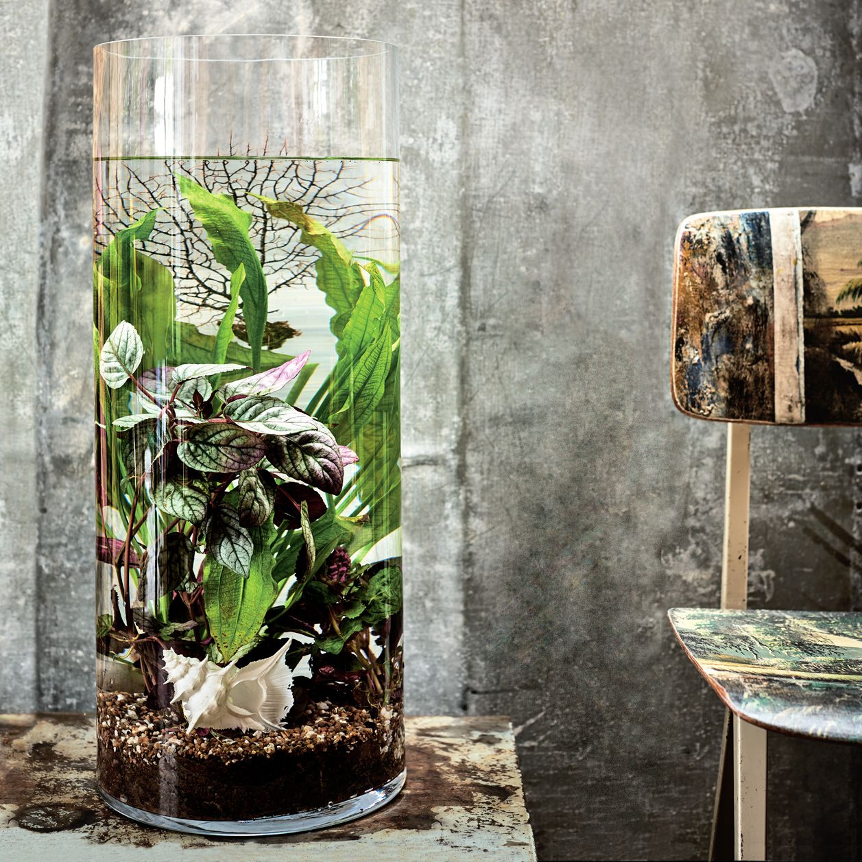 Wasserpflanzen im Glas: Anleitung und Tipps Wasserpflanzen im Glas: Anleitung und Tipps