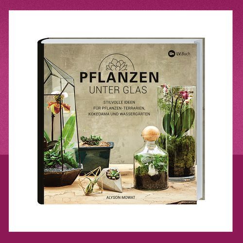 Geniales Buch zum Thema Pflanzen im Glas Geniales Buch zum Thema Pflanzen im Glas