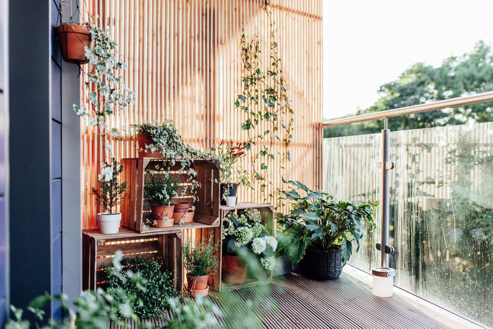 Balkon mit Pflanzen