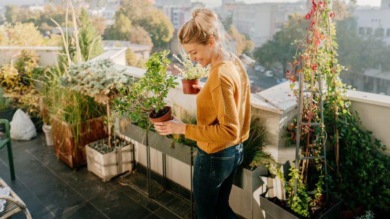 Tauben vom Balkon vertreiben