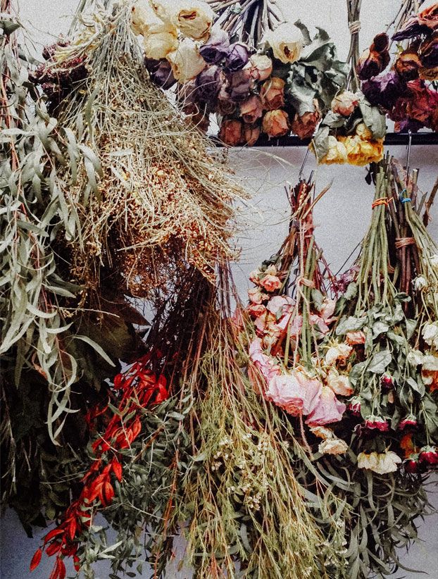 Blumen zum Trocknen aufhängen, damit die Blüten nicht abknicken