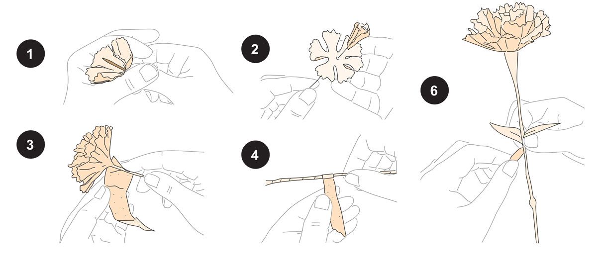 Schritt für Schritt: Anleitung zum Basteln von Papierblumen