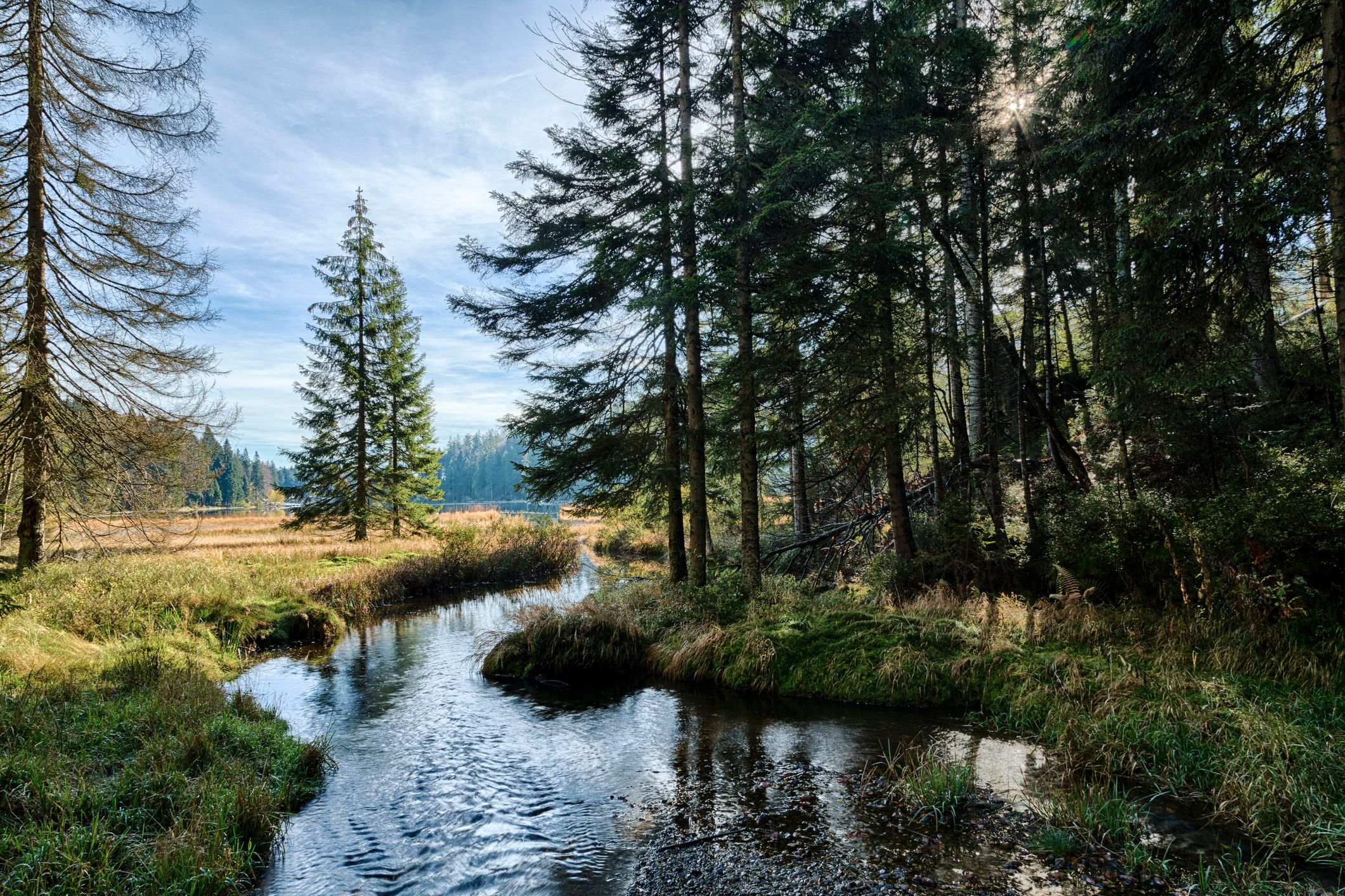 Bayerischer Wald