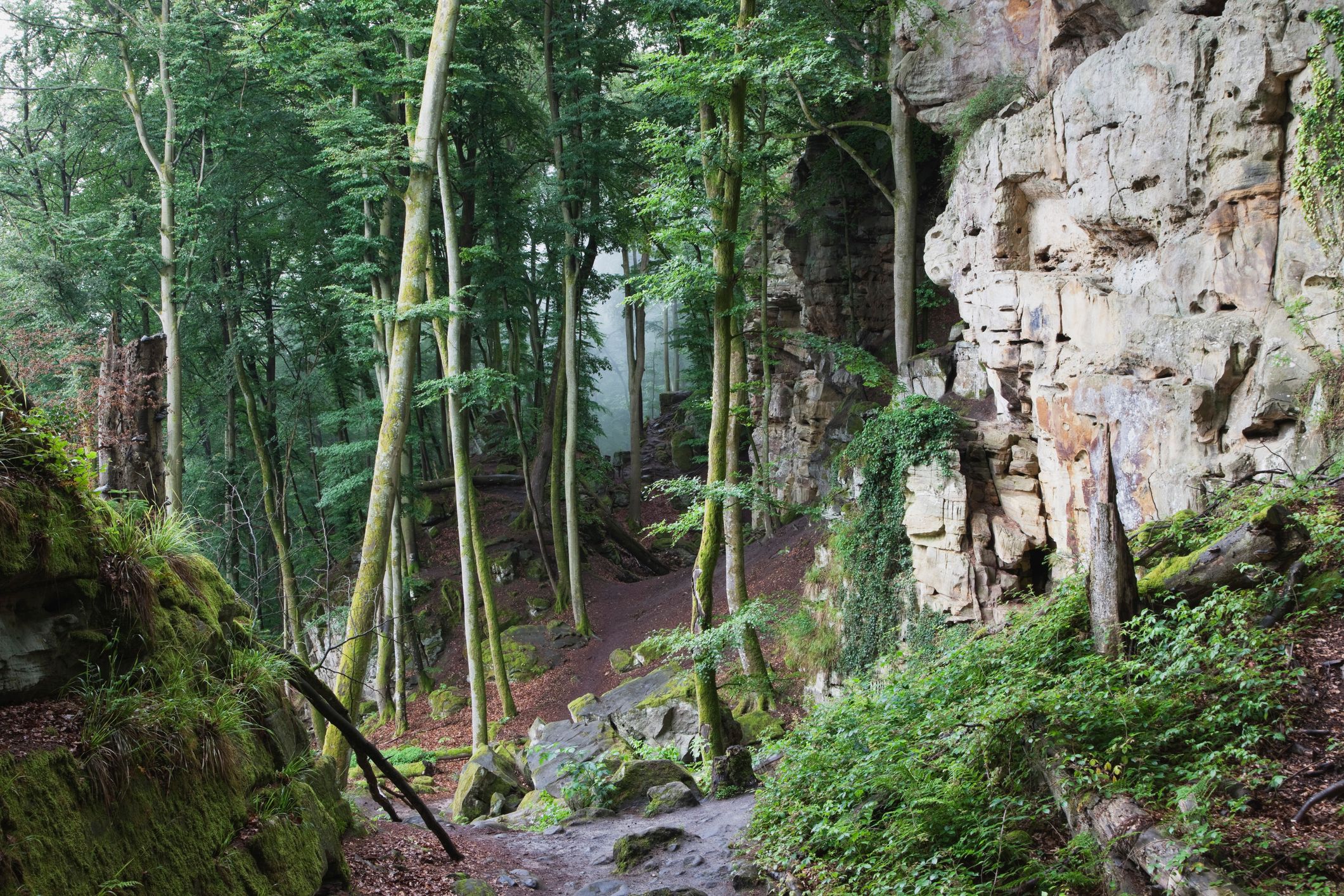 Nationalpark Eifel