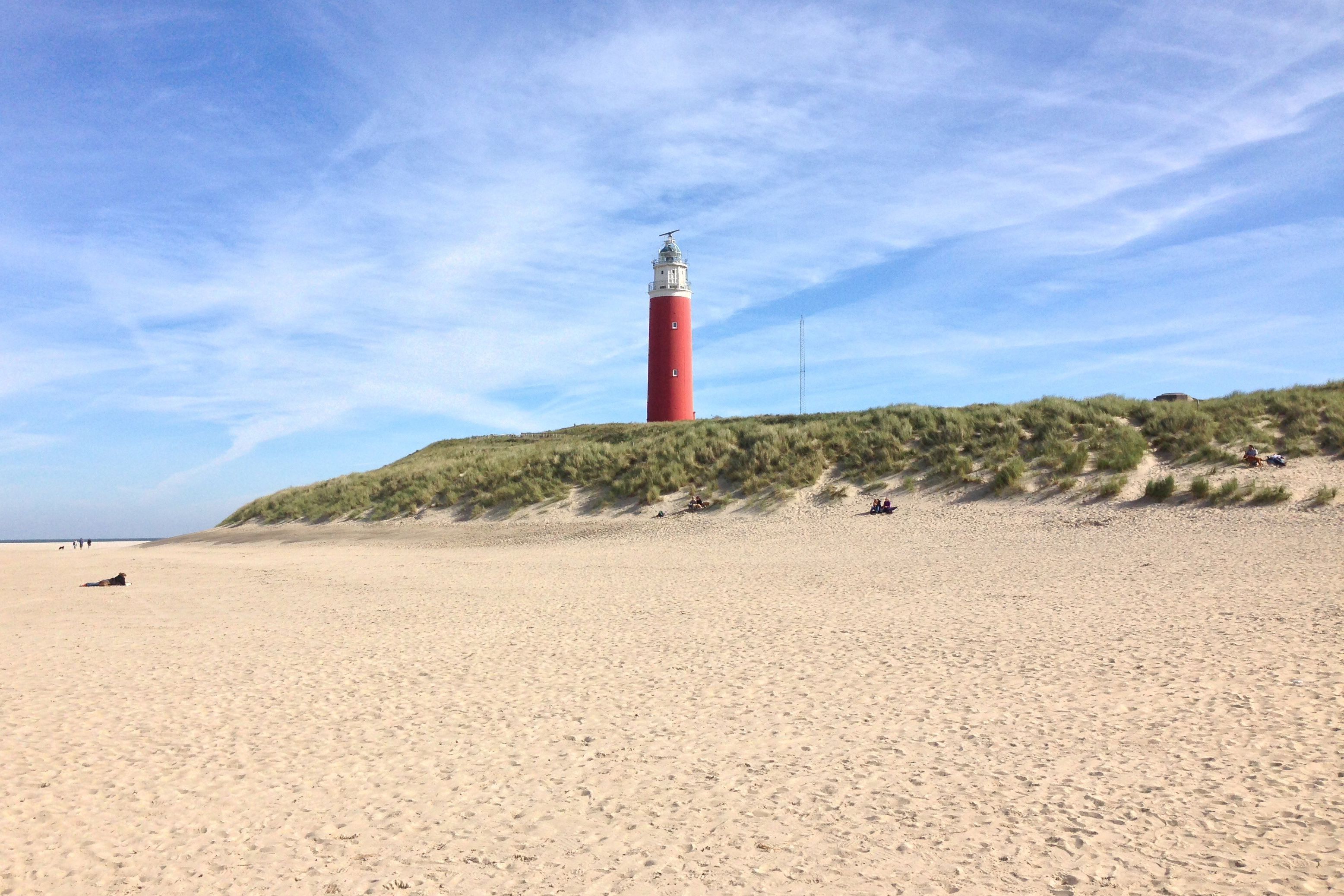 Texel