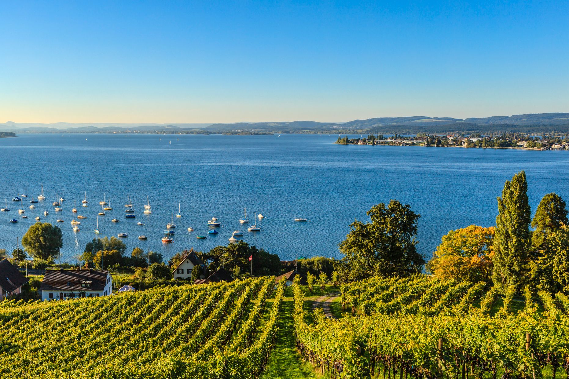 Bodensee Bodensee