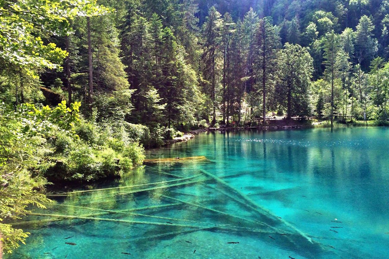 Blausee Blausee