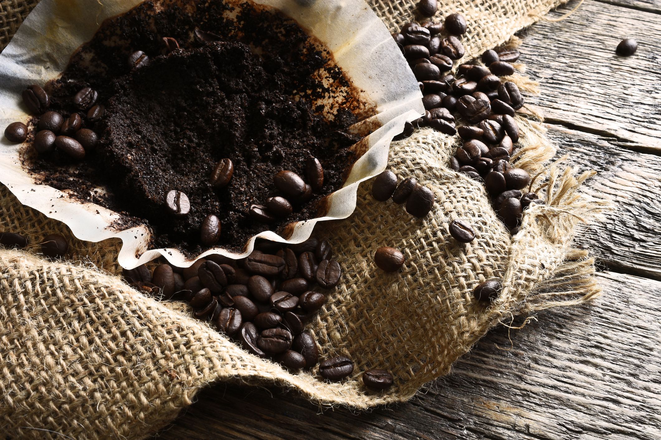 Kaffeesatz Kaffeesatz