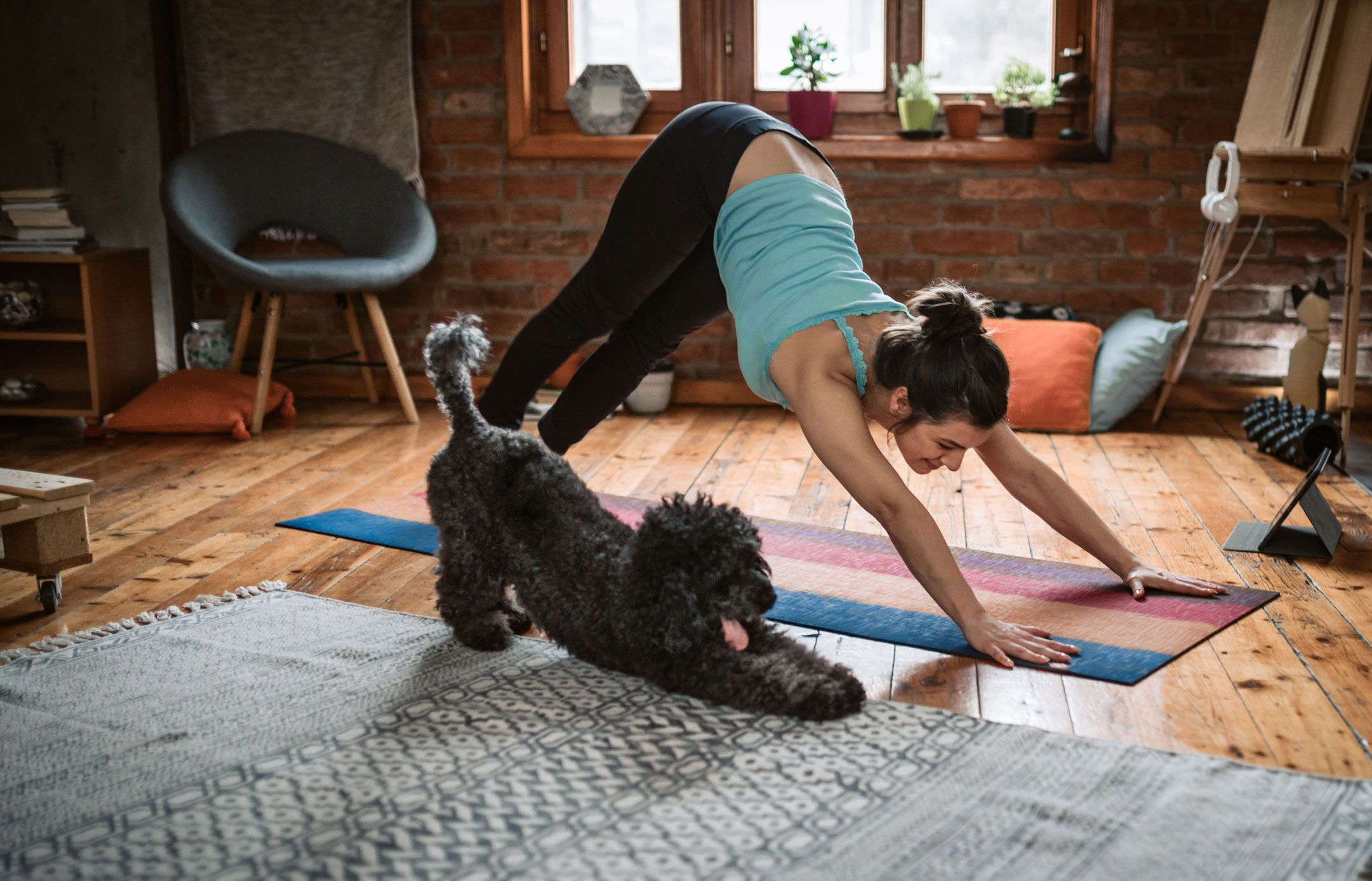 Frau praktiziert Yoga, ihr Hund streckt sich ebenfalls.