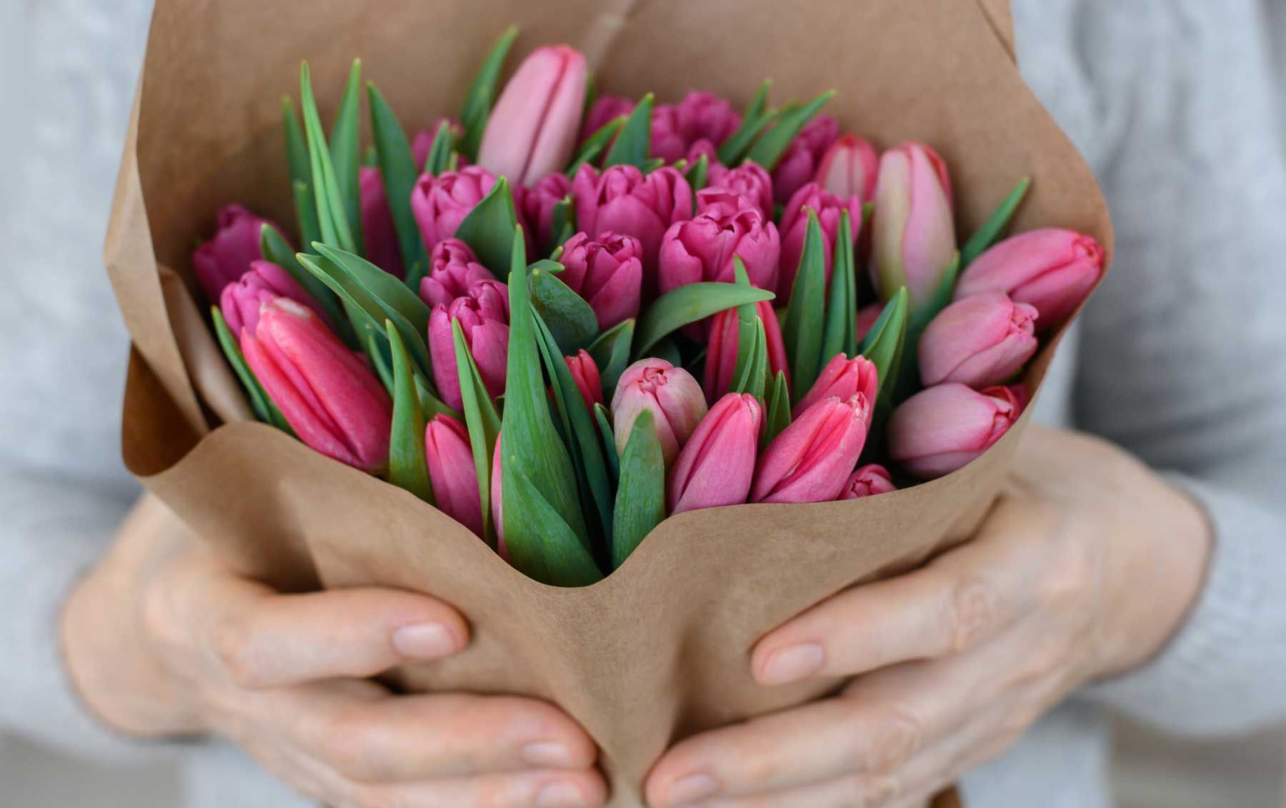 Wählt Tulpen, deren Knospen noch geschlossen sind Wählt Tulpen, deren Knospen noch geschlossen sind