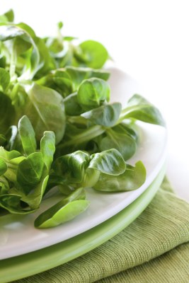 Feldsalat: Mai - Dezember Feldsalat: Mai - Dezember