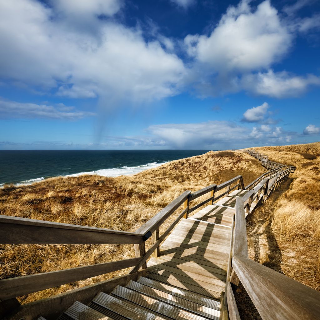 Dünen auf Sylt