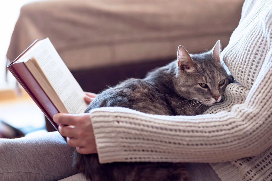Do´s und Don´ts nach dem Sport Weibliche Person mit Katze auf dem Schoß liest ein Buch