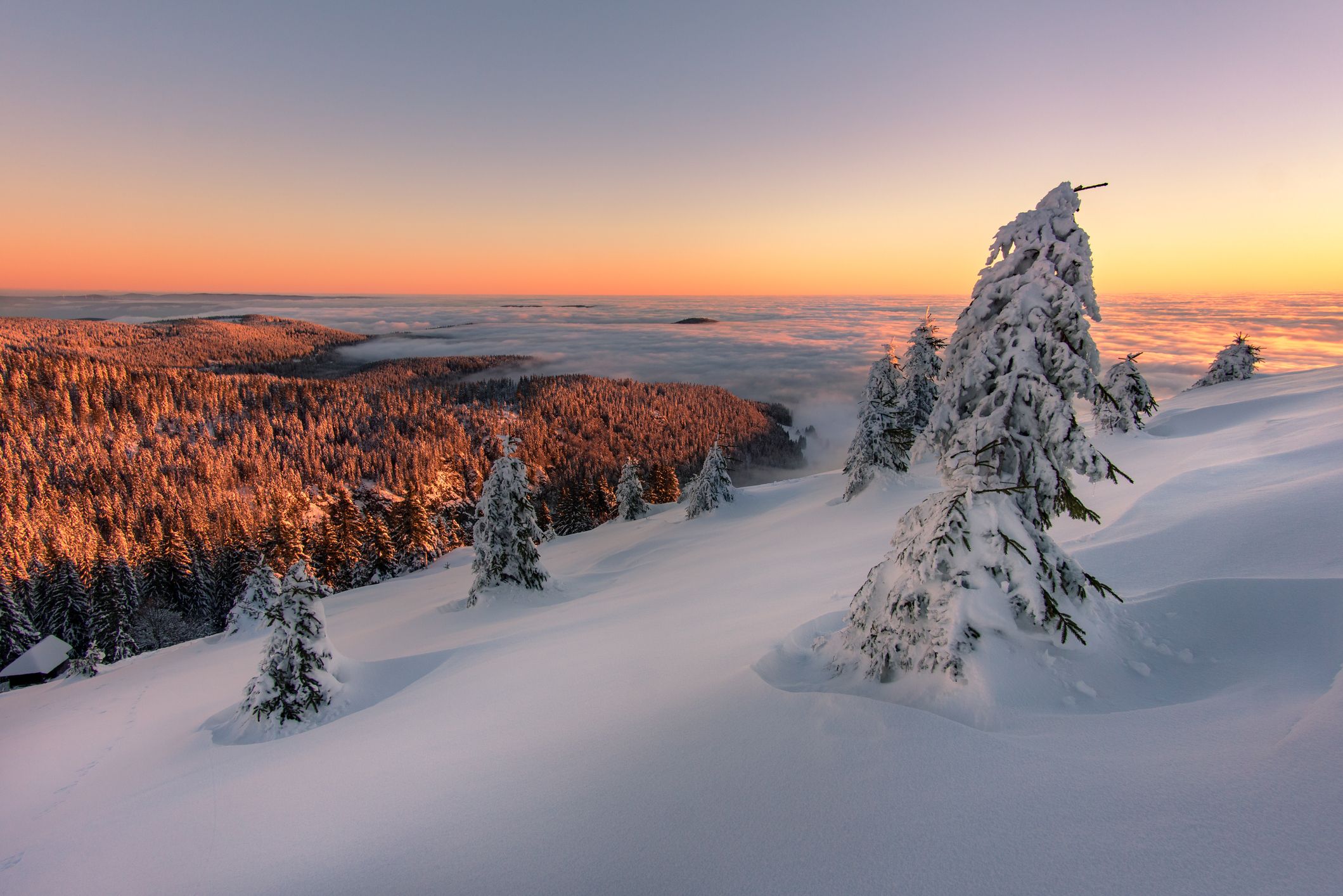Schneelandschaft im Schwarzwald Schneelandschaft im Schwarzwald