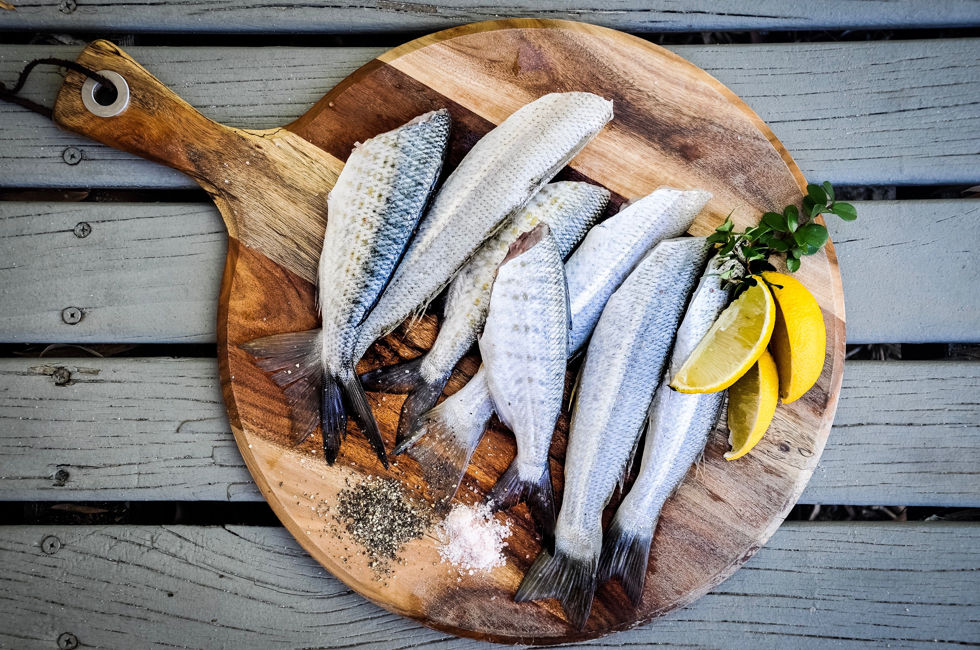 Ernährungsmythos: Fisch essen macht schlau