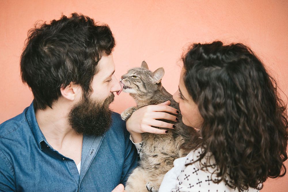 Tipps, damit die Katze gesund bleibt Tipps, damit die Katze gesund bleibt