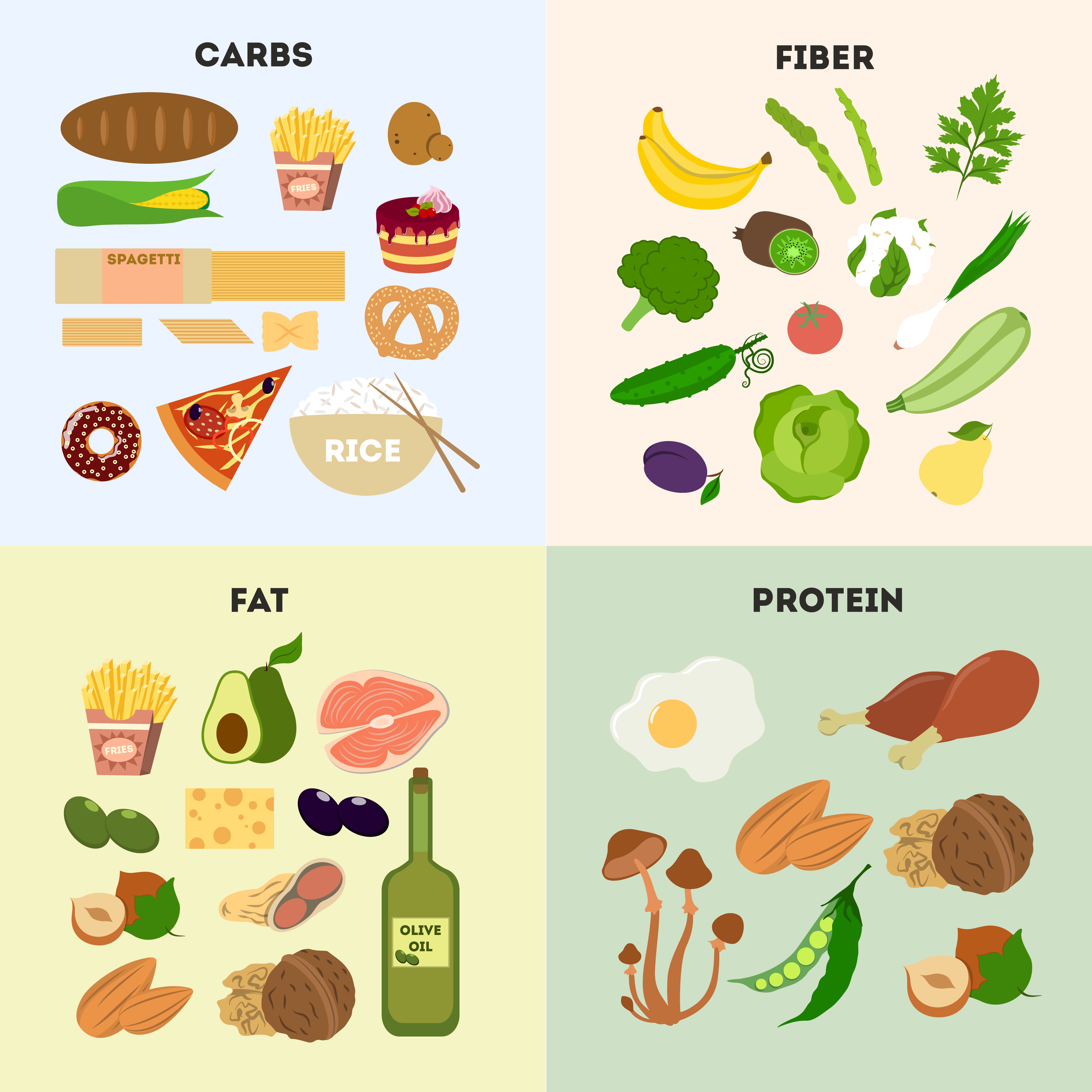 KFZ Diät: Morgens Kohlenhydrate, abends Fette und Proteine