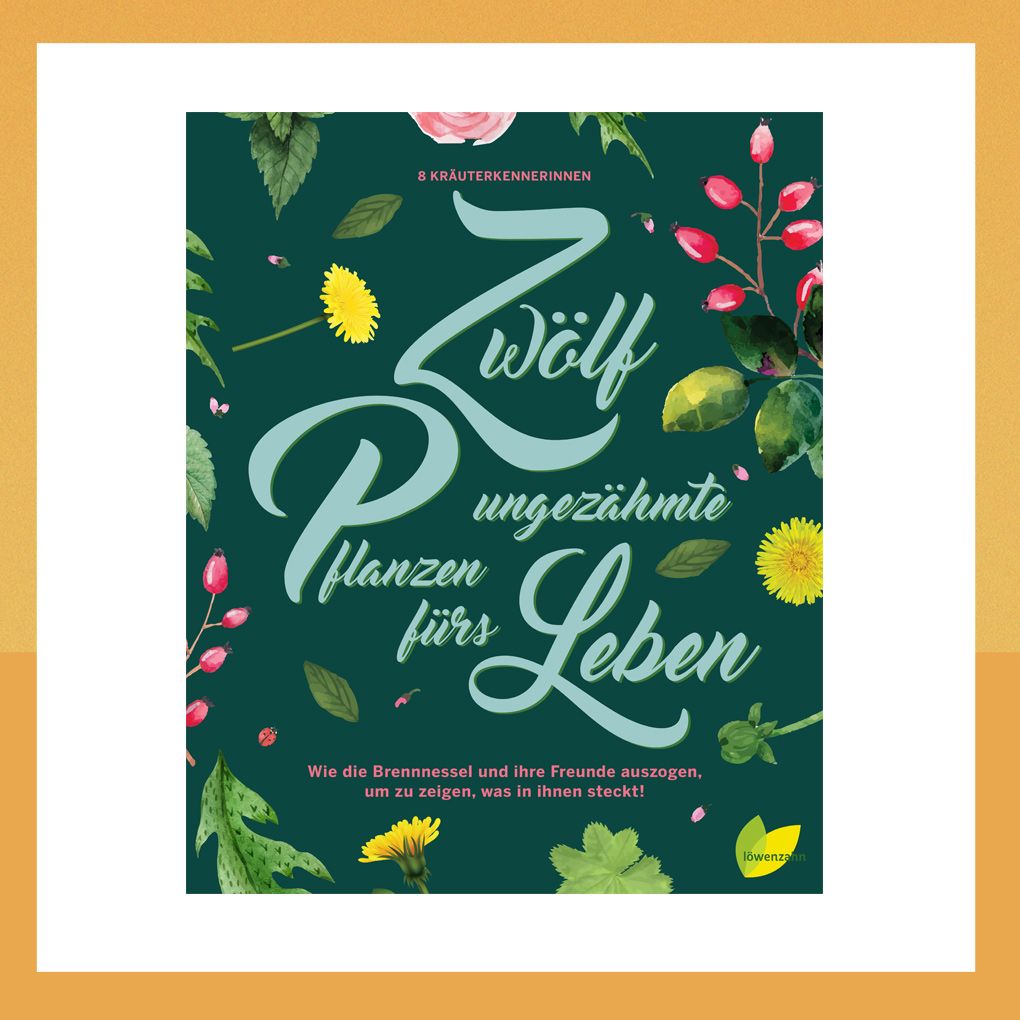 Tolles Buch zu unseren heimischen Wildpflanzen