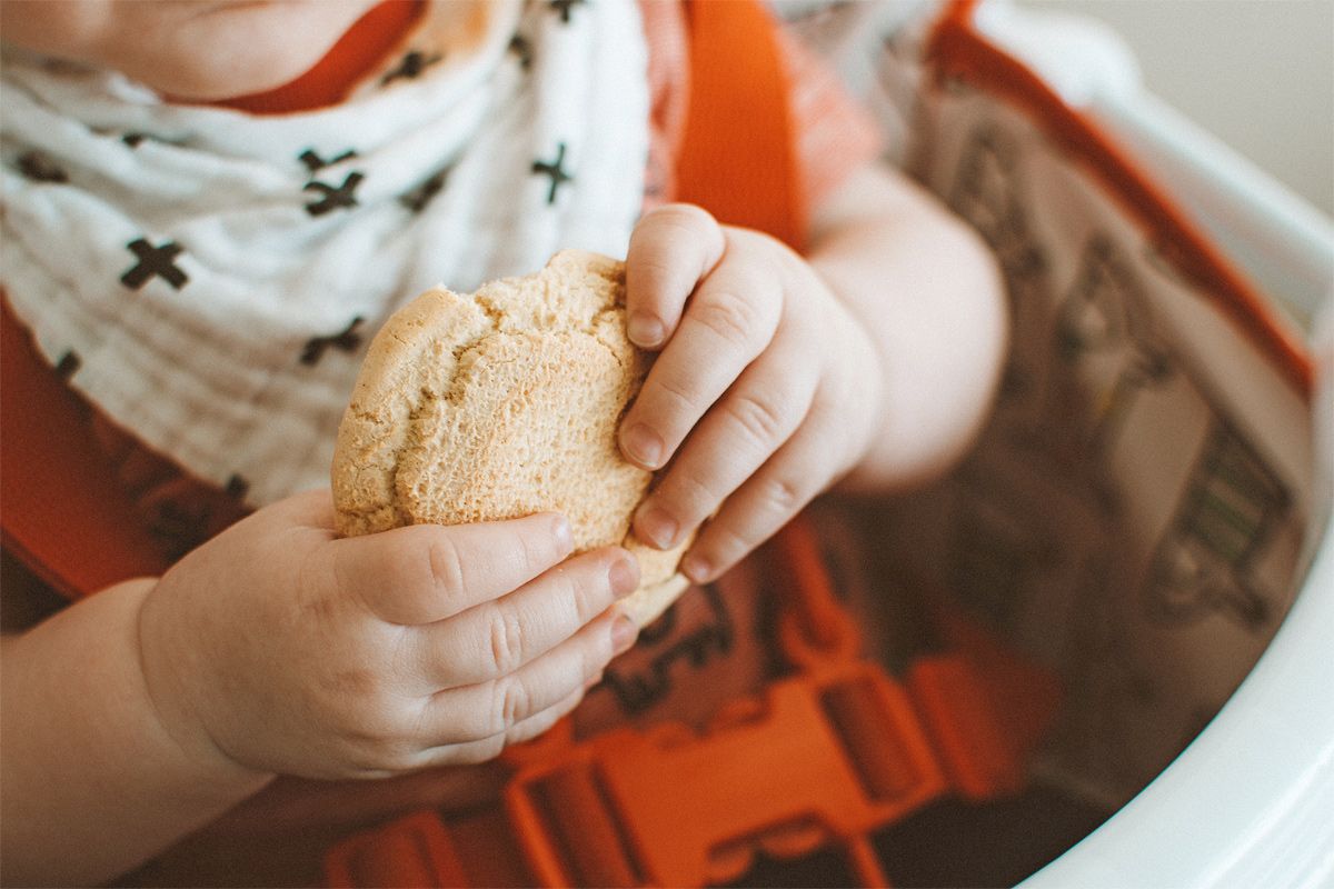 Fingerfood für Babys ab 8 Monaten
