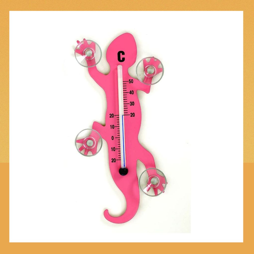 Süßes Thermometer von Amazon