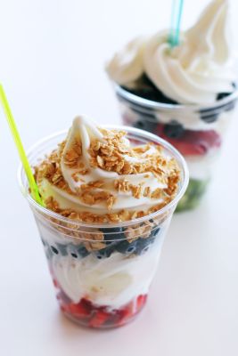 Frozen Joghurt mit Beeren und gerösteten Haferflocken