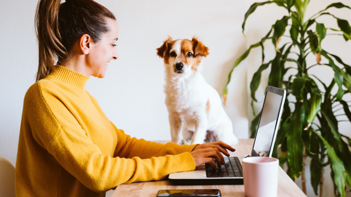 Frau am Laptop mit Hund, den sie von der Seite anlächelt
