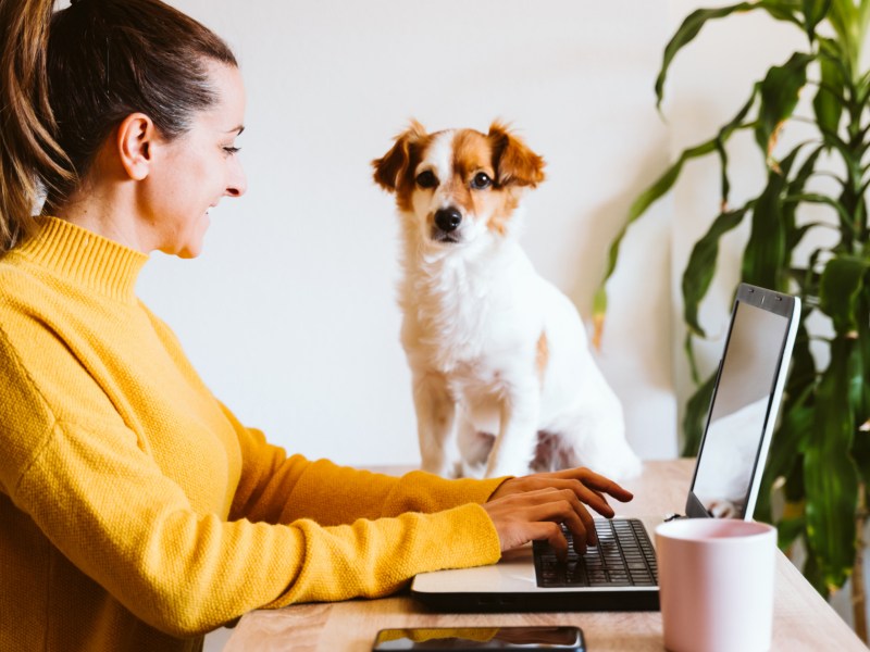 Frau am Laptop mit Hund, den sie von der Seite anlächelt