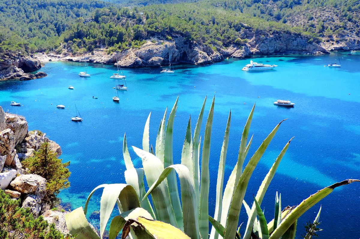 Ibiza könnt ihr genial per Boot entdecken