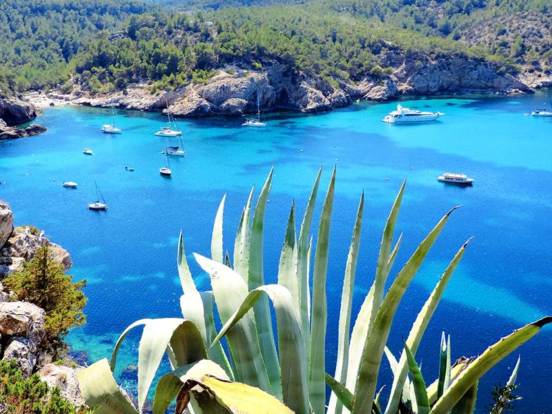 Ibiza könnt ihr genial per Boot entdecken