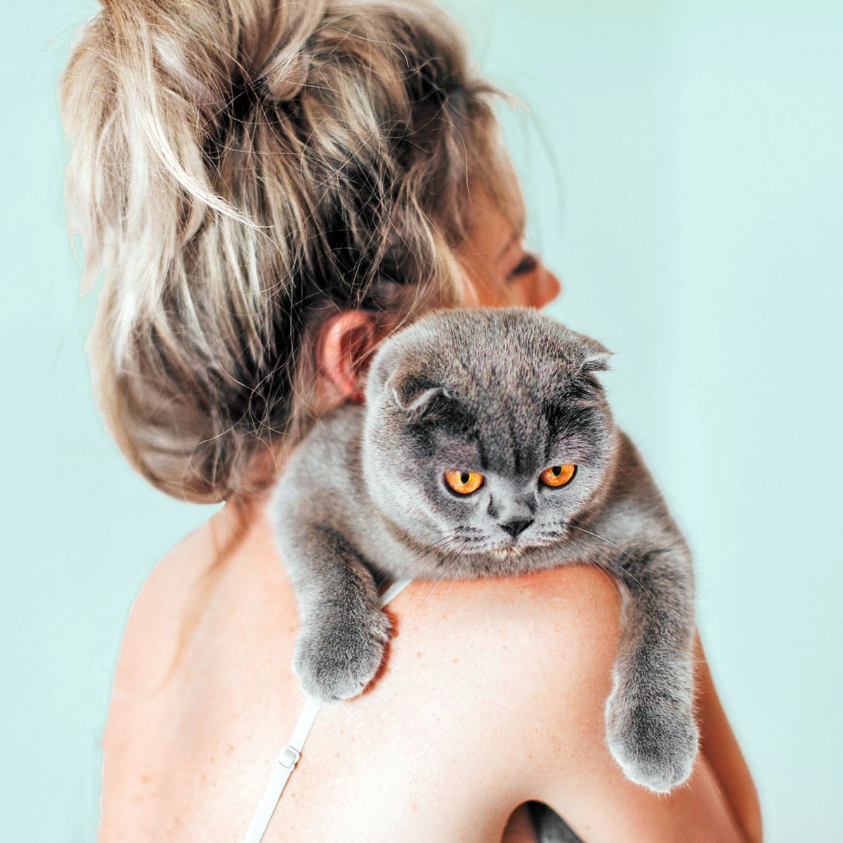 Tipps, damit eure Katze lange gesund bleibt