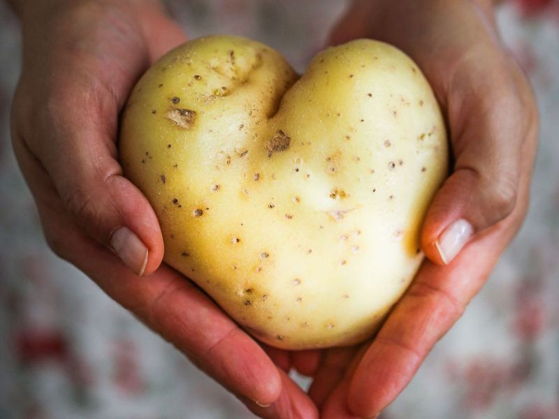 Kartoffeln aufbewahren: So bleiben sie länger frisch