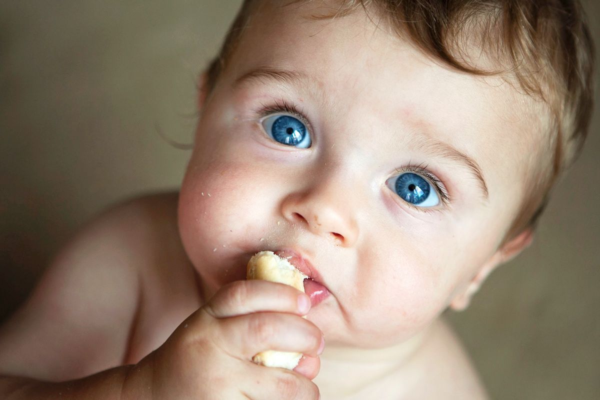 Tschüss, Brei: Feste Beikost-Rezepte als Fingerfood für Babys